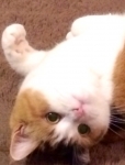 20131219150949369.jpg