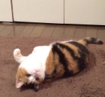 2013121915103348f.jpg