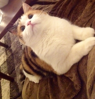 201312191901293d3.jpg