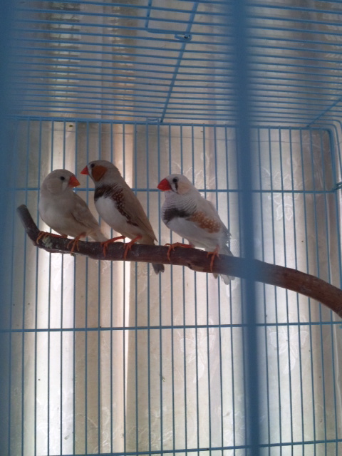 130318_144703.jpg