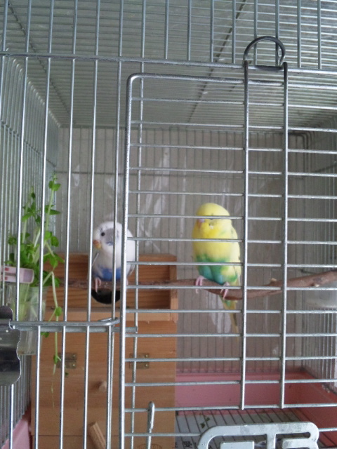130409_140034.jpg