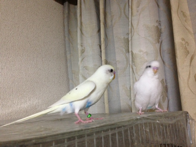 写真92