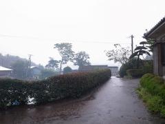 R0010820.jpg