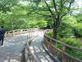 IMG_20130508_144602 (640x480)