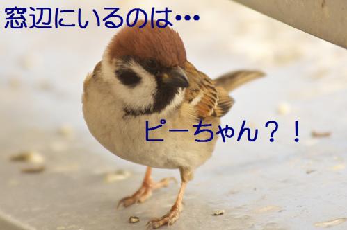 010_20130122222141.jpg