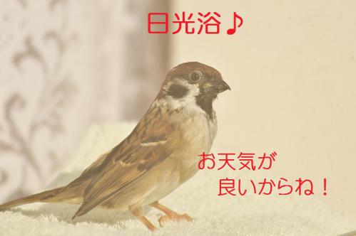 020_20130122222144.jpg