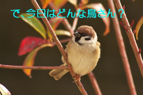 020_20130123004810.jpg