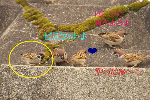 020_20130131194518.jpg