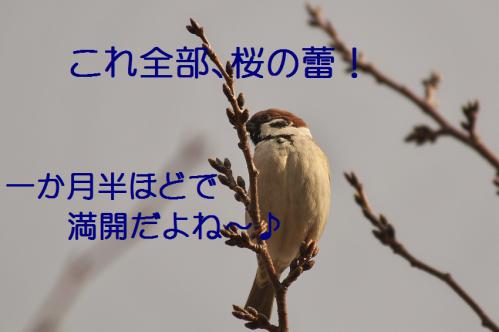 020_20130212210419.jpg