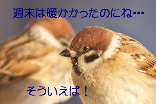 020_20140205204854e47.jpg