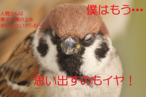 020_20140217211131ddf.jpg
