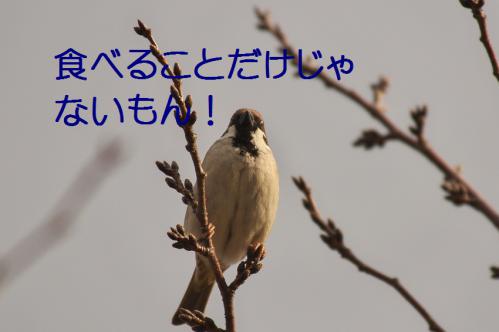 030_20130212210421.jpg