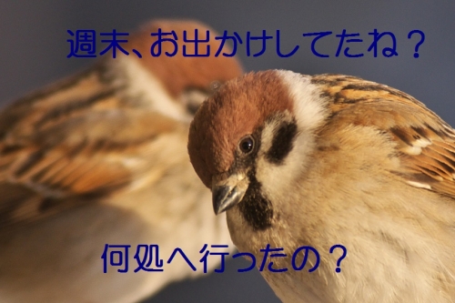 030_20140205204857e12.jpg