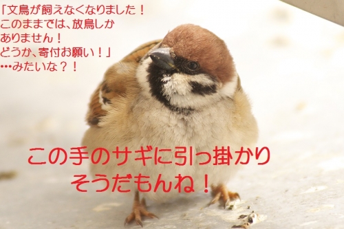 030_20140219210342119.jpg