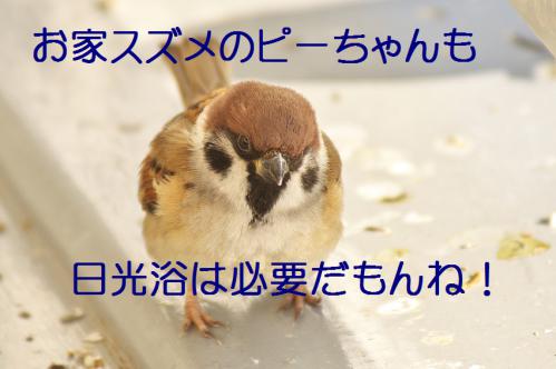 040_20130122222149.jpg