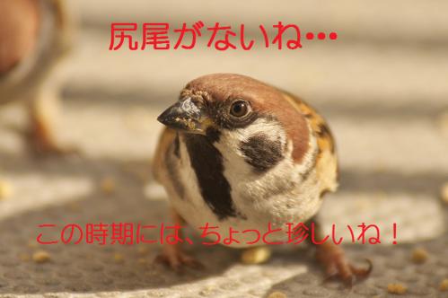 040_20130131194526.jpg