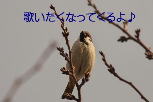 040_20130212210423.jpg