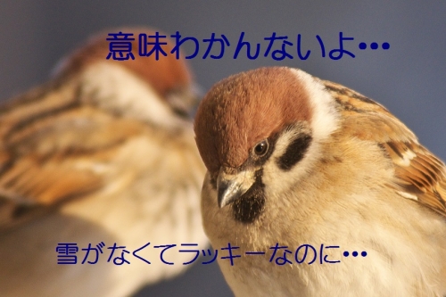 040_201402052049012bb.jpg