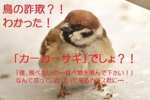 040_20140219210344f95.jpg