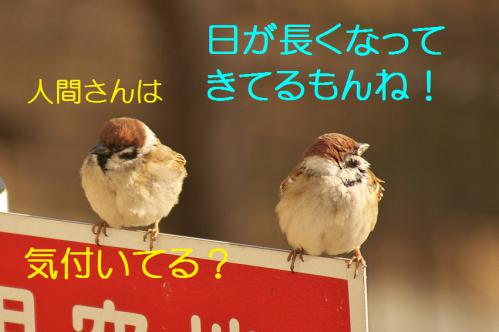 050_20130212210426.jpg