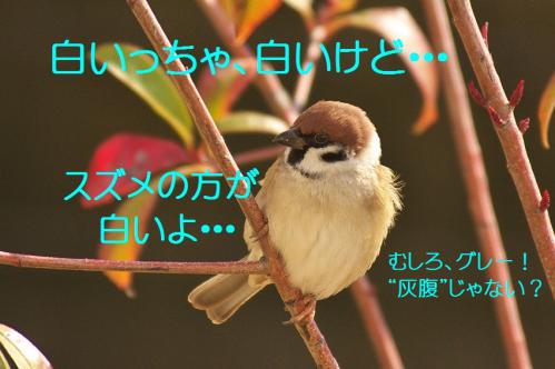 055_20130123004940.jpg