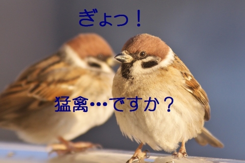 060_201402052051392fa.jpg