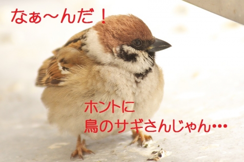 070_201402192105099c3.jpg