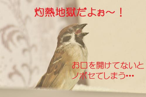090_20130122222546.jpg