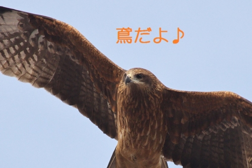 090_2014020520514856f.jpg