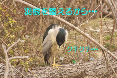 100_20130212210709.jpg