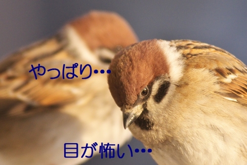 100_201402052052271a5.jpg