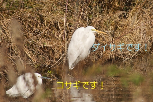 100_201402192107426e6.jpg
