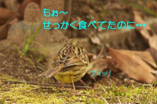 110_20140217211335529.jpg