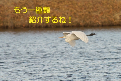 110_20140219210817461.jpg