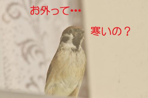 120_20130122222632.jpg