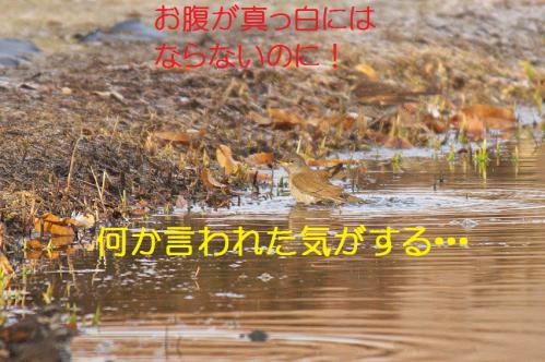 120_20130123005037.jpg