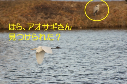 120_20140219210820b73.jpg