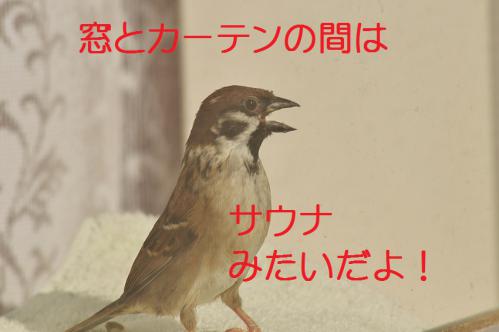 130_20130122222635.jpg