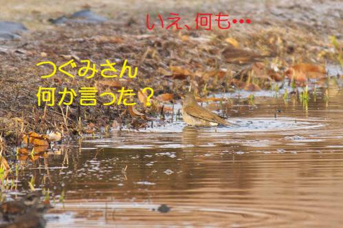 130_20130123005041.jpg