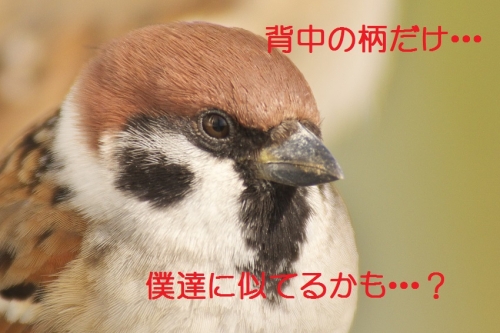 130_20140217211344028.jpg