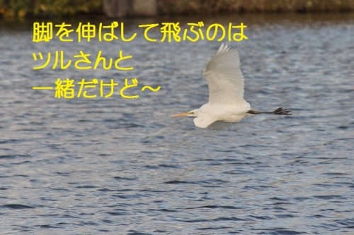 130_20140219210826114.jpg