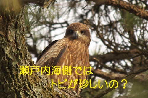 135_20140205205242362.jpg