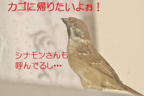 140_20130122222639.jpg