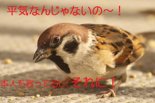 140_20130131194824.jpg