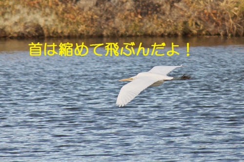140_20140219210823d66.jpg