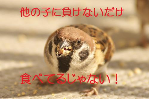 150_20130131194828.jpg