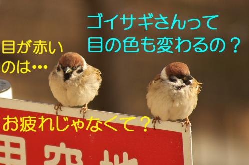 150_20130212210919.jpg