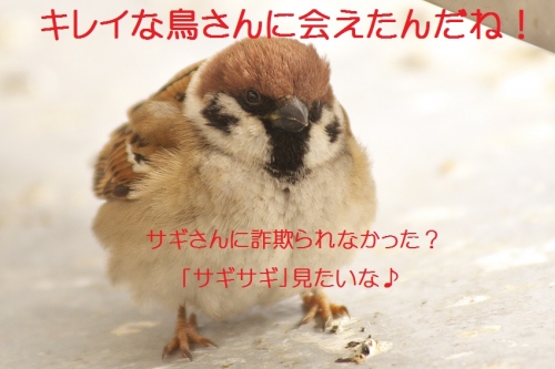 150_20140219210826d36.jpg