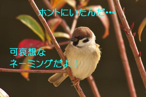 160_20130123005139.jpg