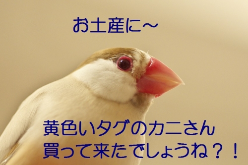 180_201402052053364c8.jpg